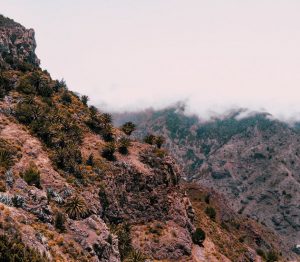 Billeje & biludlejning på La Gomera