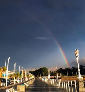 Billeje & lejebil i Gijón