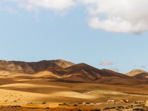 Billeje & biludlejning Fuerteventura Lufthavn