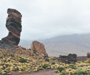 Billeje & biludlejning Tenerife Syd Lufthavn